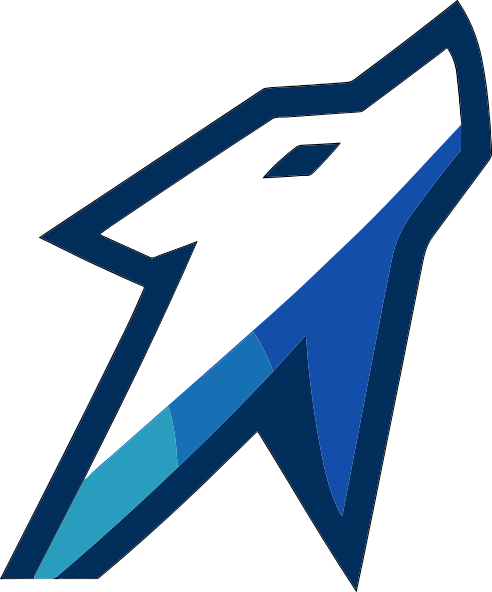 Waliru Tech Logo